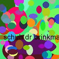 schuh dr brinkmann